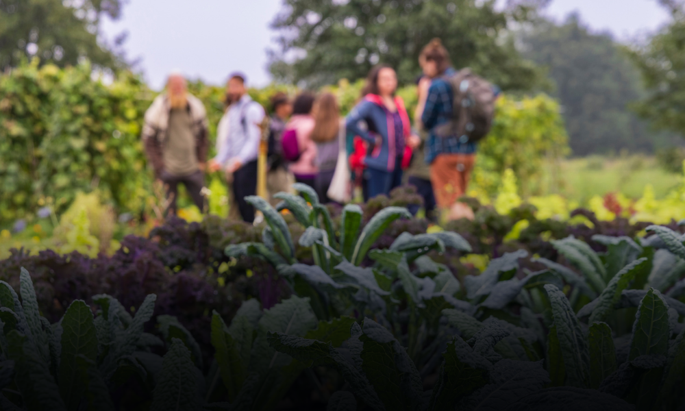 Agricultores anuncian paro nacional y bloqueos en carreteras por falta de apoyos y seguridad