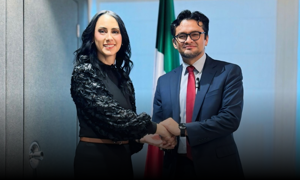 Asociación Mexicana de Almacenamiento, Electrificación y Movilidad (AMAEM): El nuevo referente energético de México