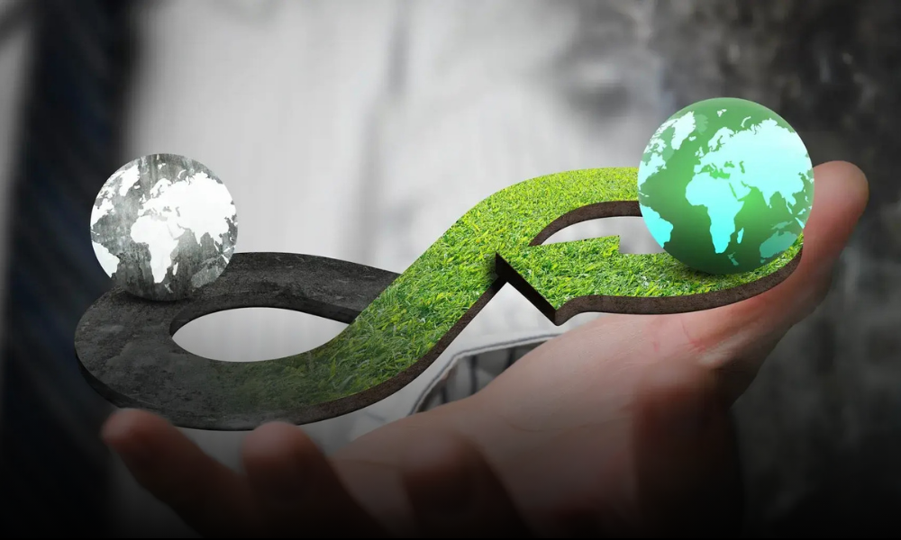 El fin de la linealidad: La Ley General de Economía Circular y el nuevo paradigma del productor en México