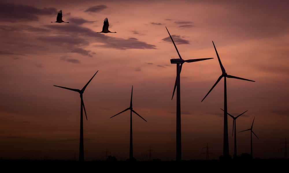 Tamaulipas se consolida como el corazón energético de México