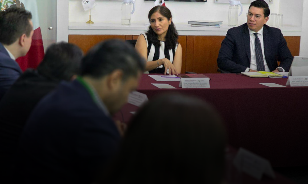 AMEXGAS: PRONAGAS representa un avance relevante para la regularización ordenada del sector