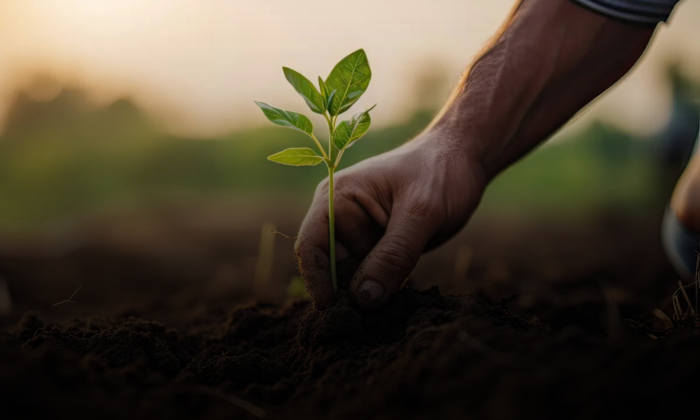El futuro del suelo: cómo la biología molecular transforma la agricultura en México