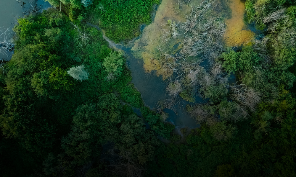 Los sistemas naturales que nos protegen no pueden darse por sentados